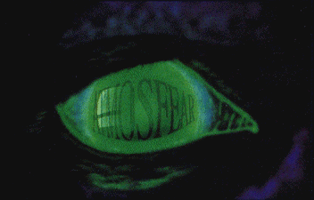 Eye01.png